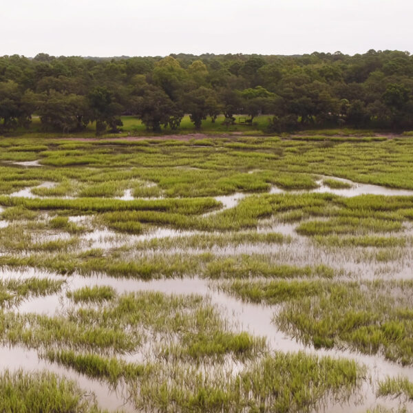 SouthCarolina_BroadRiver